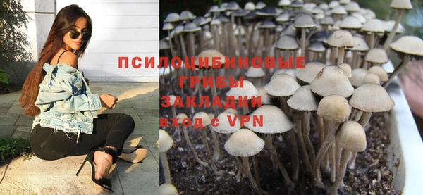 прущие грибы Баксан