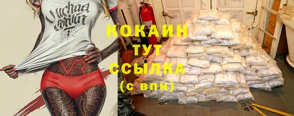 прущие грибы Баксан