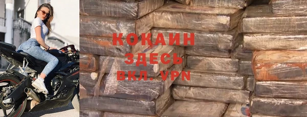 PSILOCYBIN Балабаново