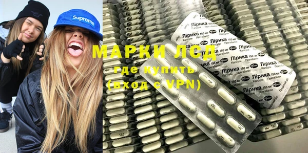 прущие грибы Баксан
