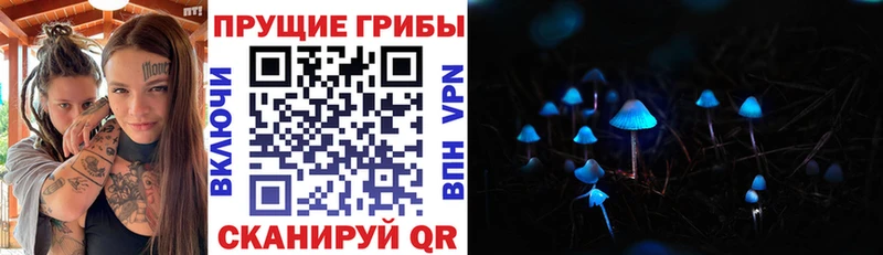 Купить  Сясьстрой  Галлюциногенные грибы Magic Shrooms 