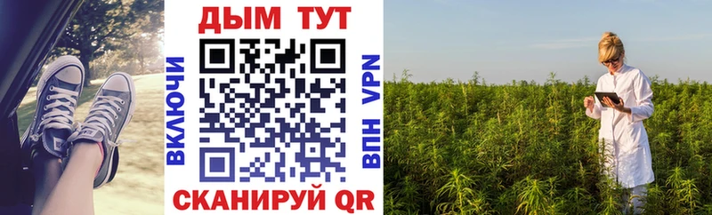 Купить  Сясьстрой  Бошки Шишки план 